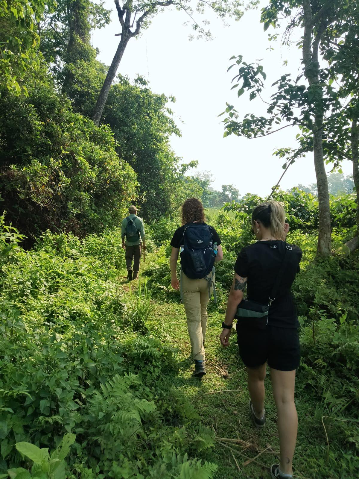 Jungle safari au nepal