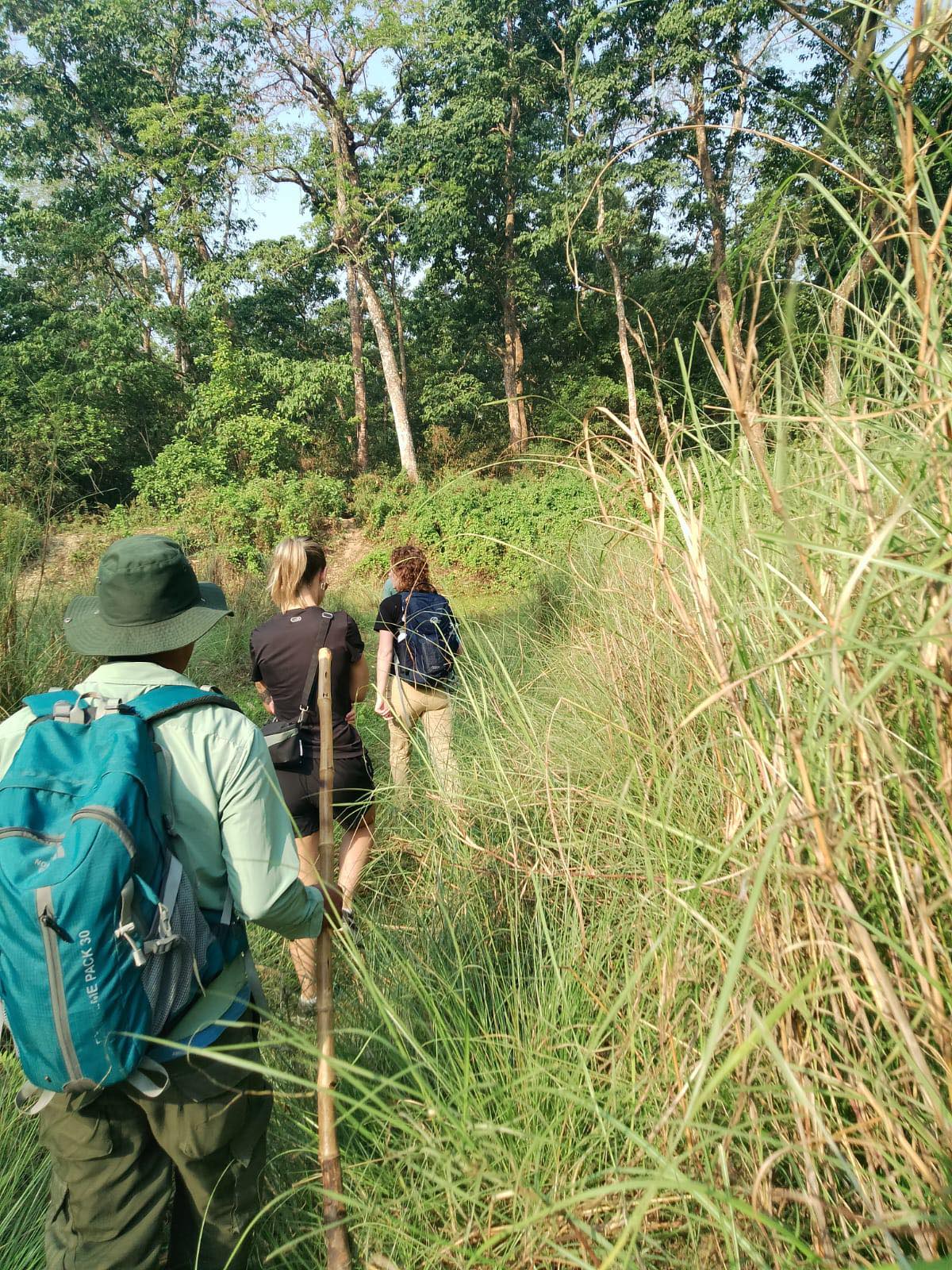 Bardia safari – Chituwan - pokhara