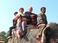 Chitwan en pension complet