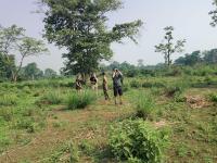 Séjour - Bardia safari