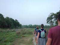 Séjour - Bardia safari