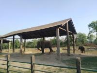 Séjour - Bardia safari