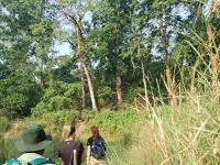 Séjour - Bardia safari