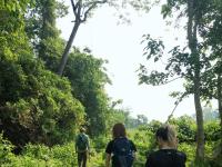 Séjour Chituwan 3 jours