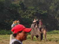 Séjour - Bardia safari