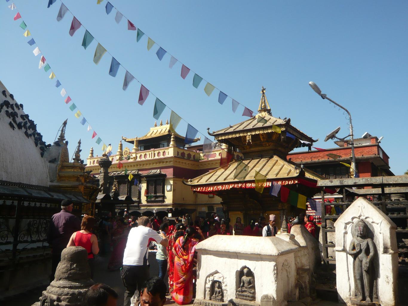 Visite de la vallee de kathmandu  Terai
