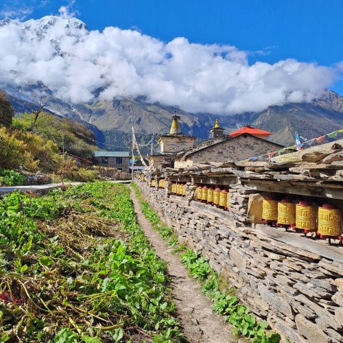 Manaslu et les lacs Tilicho Mesokanto pass Trek